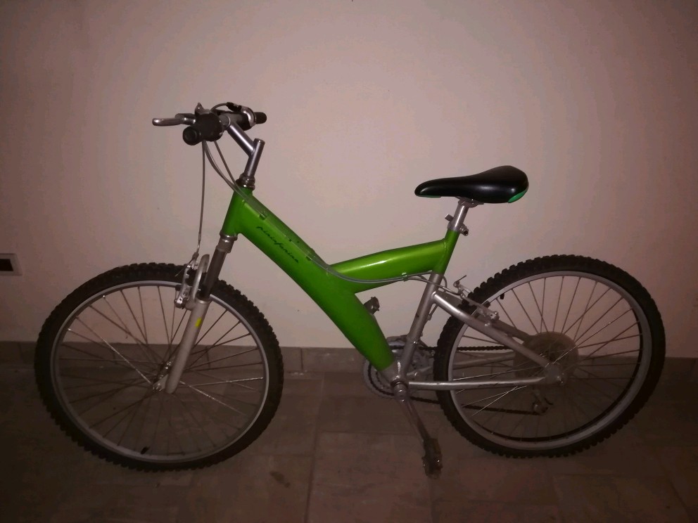 4804746 Vendo mountain bike